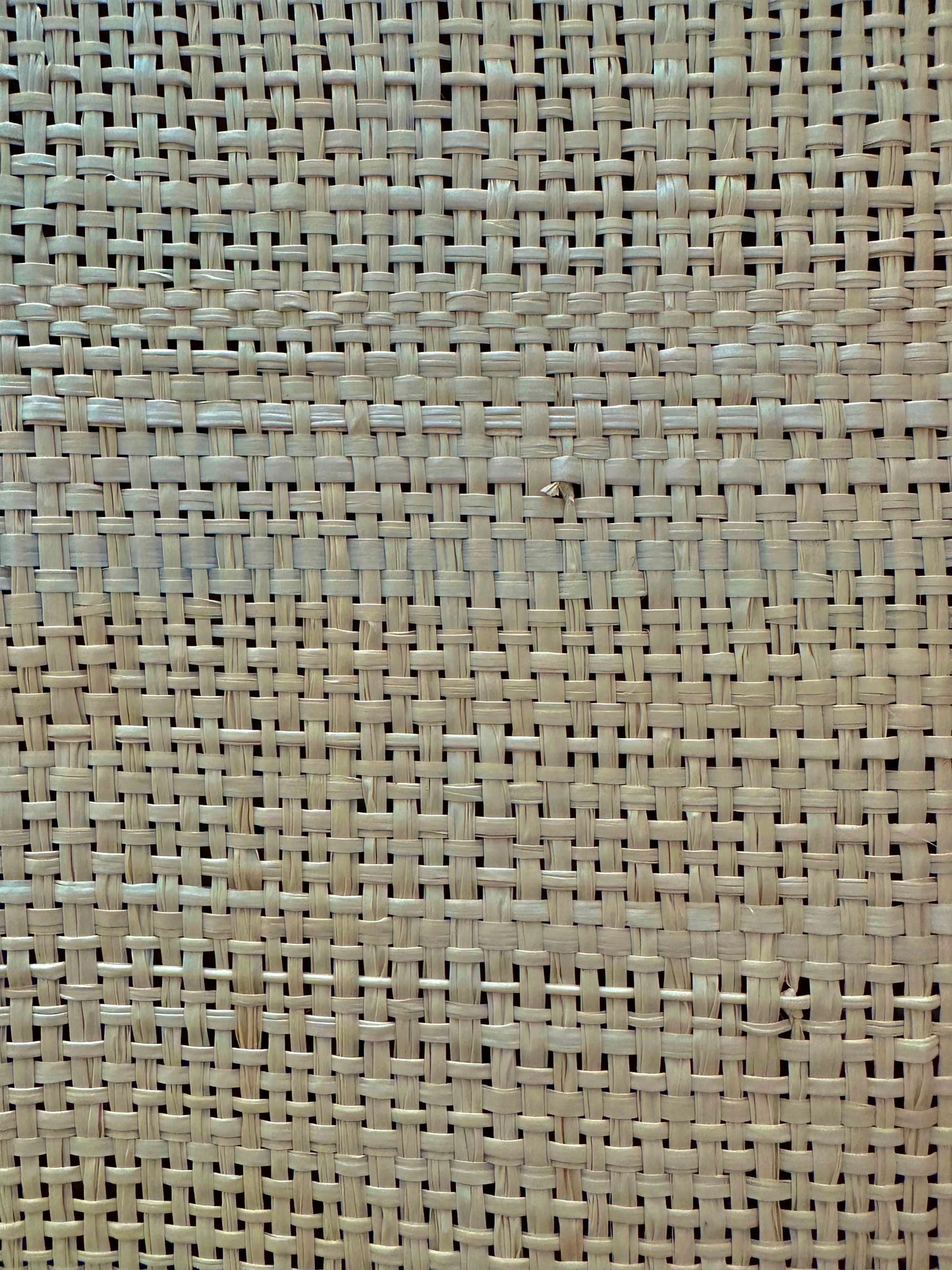Bleached Raffia Fabric - Roll