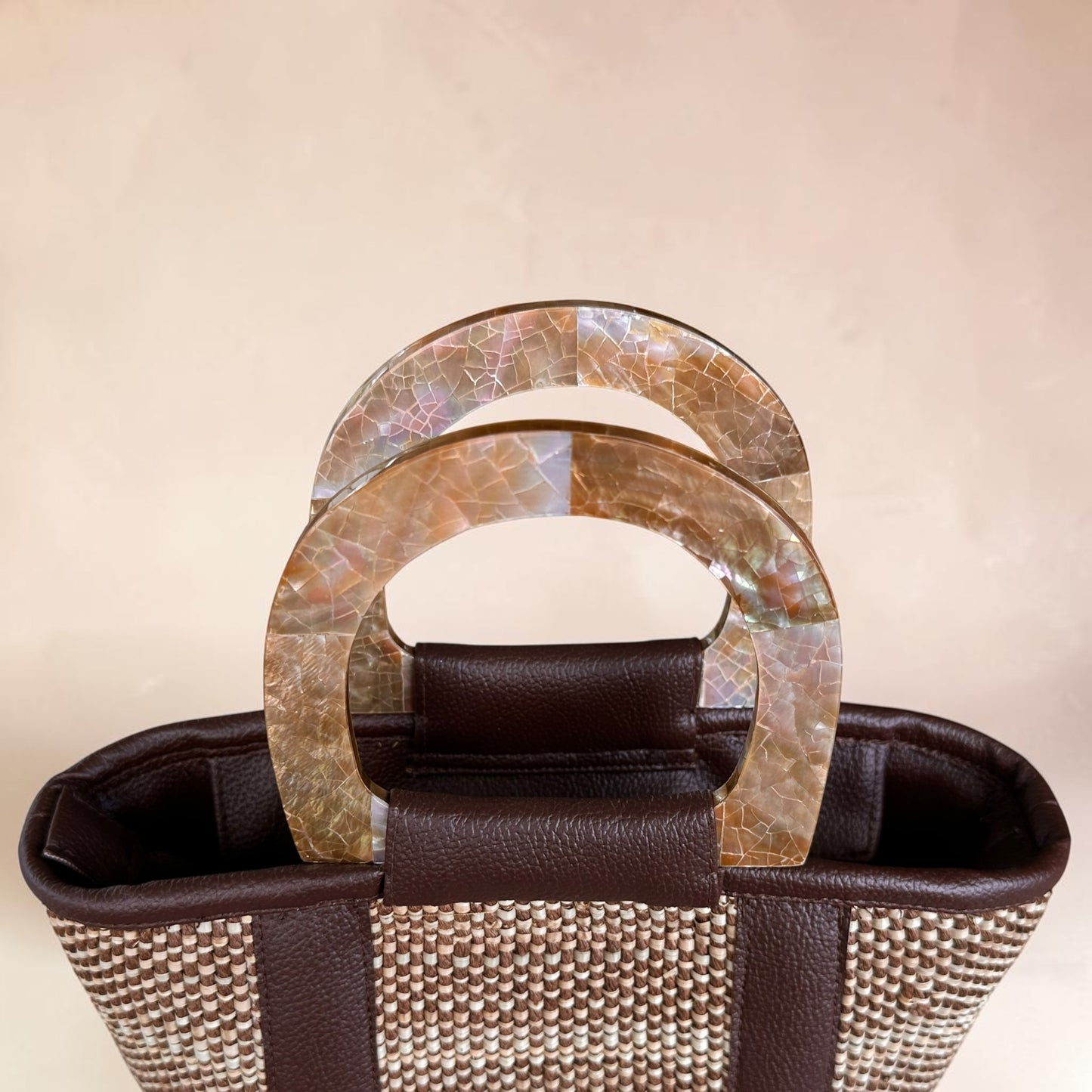 Espresso Earth Handbag (Brown Lip Shell)