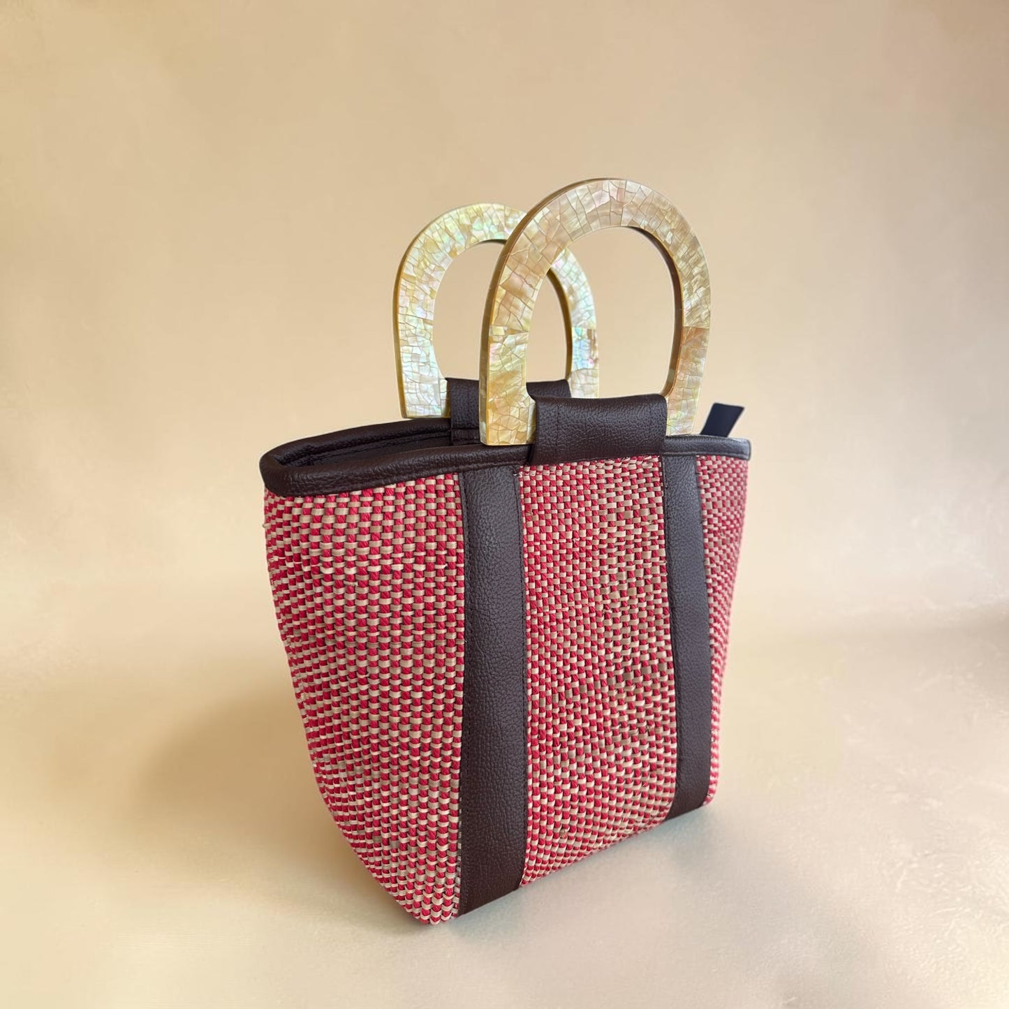 Ruby Earth Hand Bag (Brown Lip Handle)