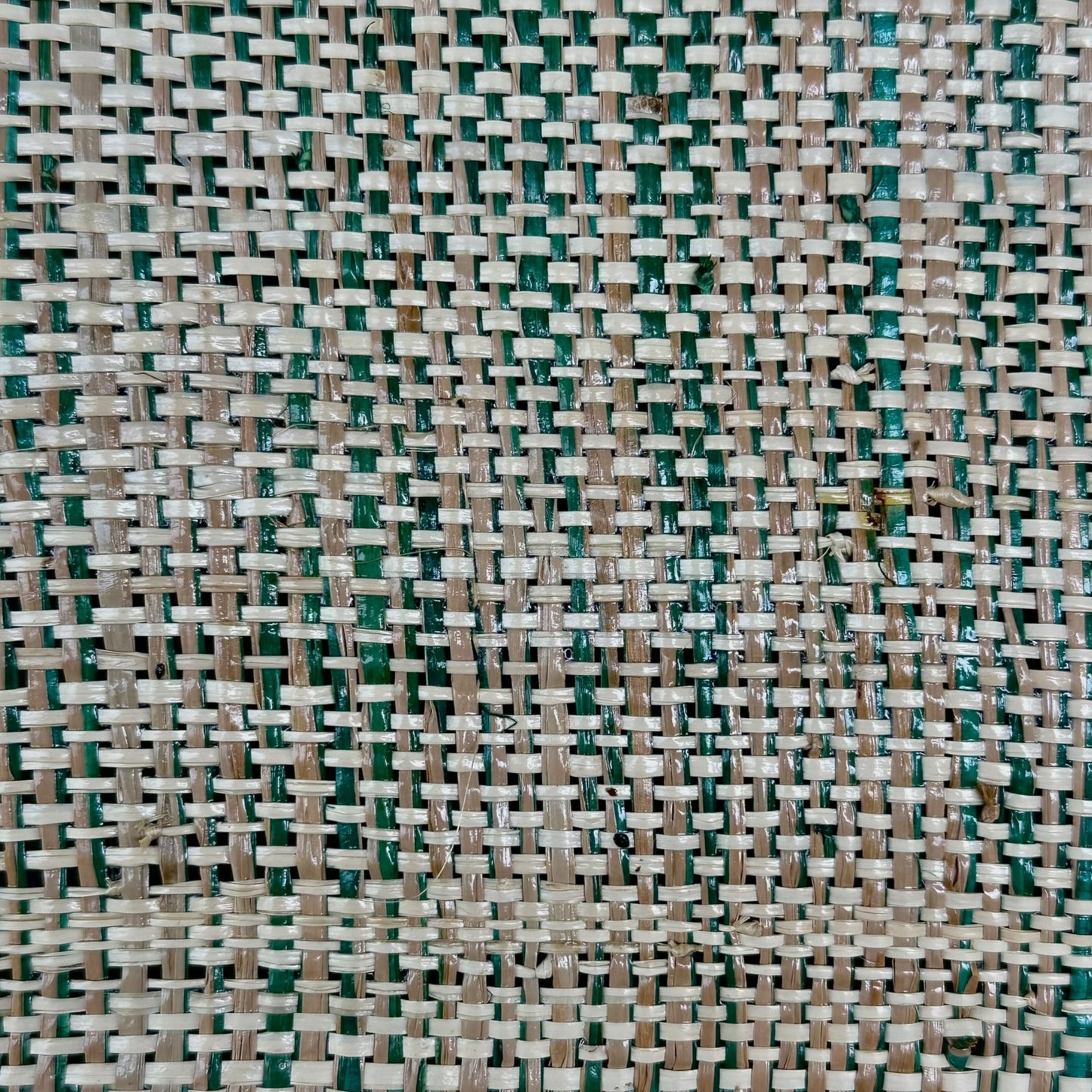 Sienna Horizon Tote